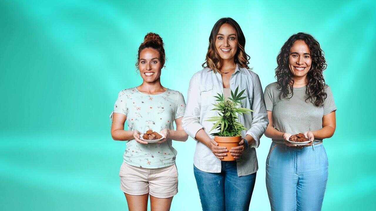 Yerba Buena 0