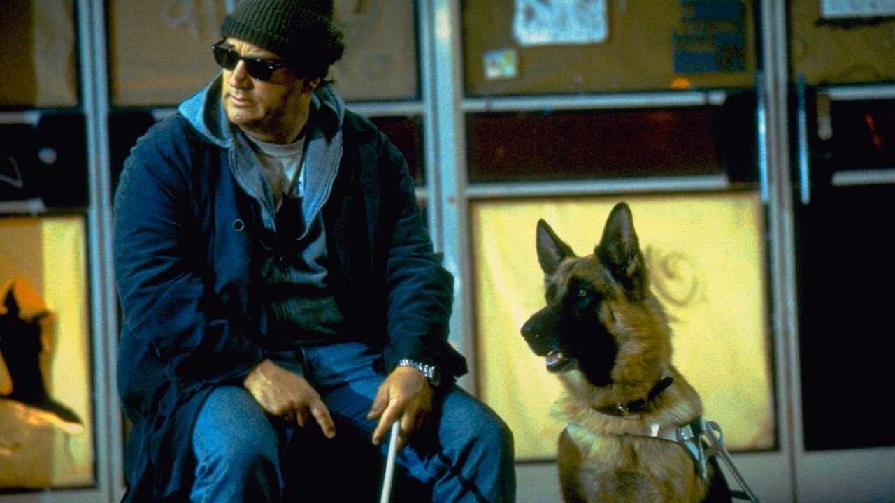 K-9: P.I. 0