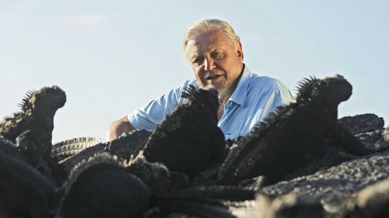 EN - David Attenborough' Life in Cold Blood (2008) 4