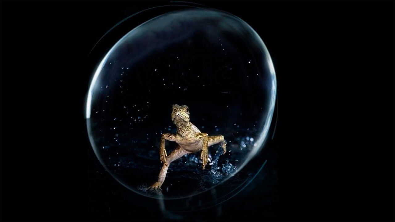 EN - David Attenborough's Life (2009) 4