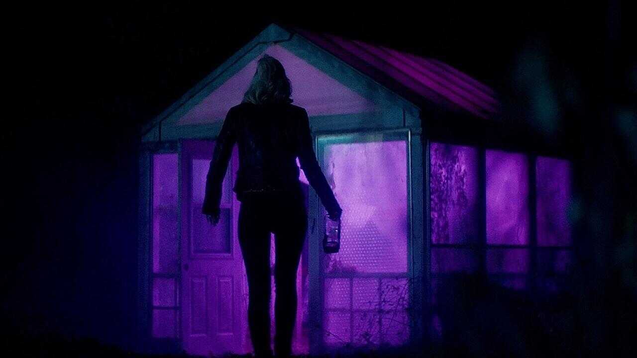Neon Lights 0