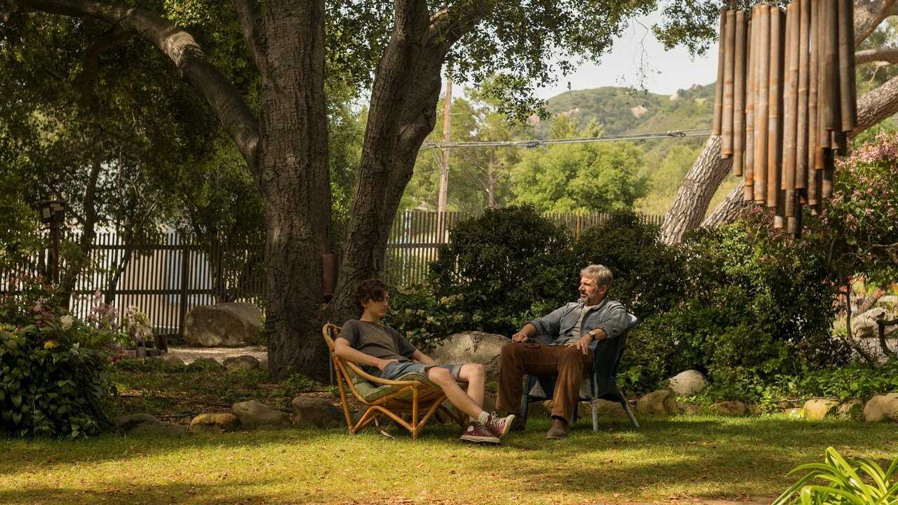 Beautiful Boy (2018) 0