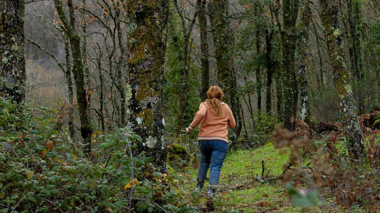 FR - Le Coucou de cristal (2025) (ES) 4
