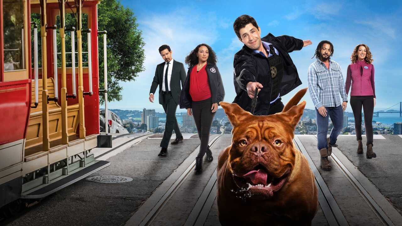 [SE] Turner & Hooch 1