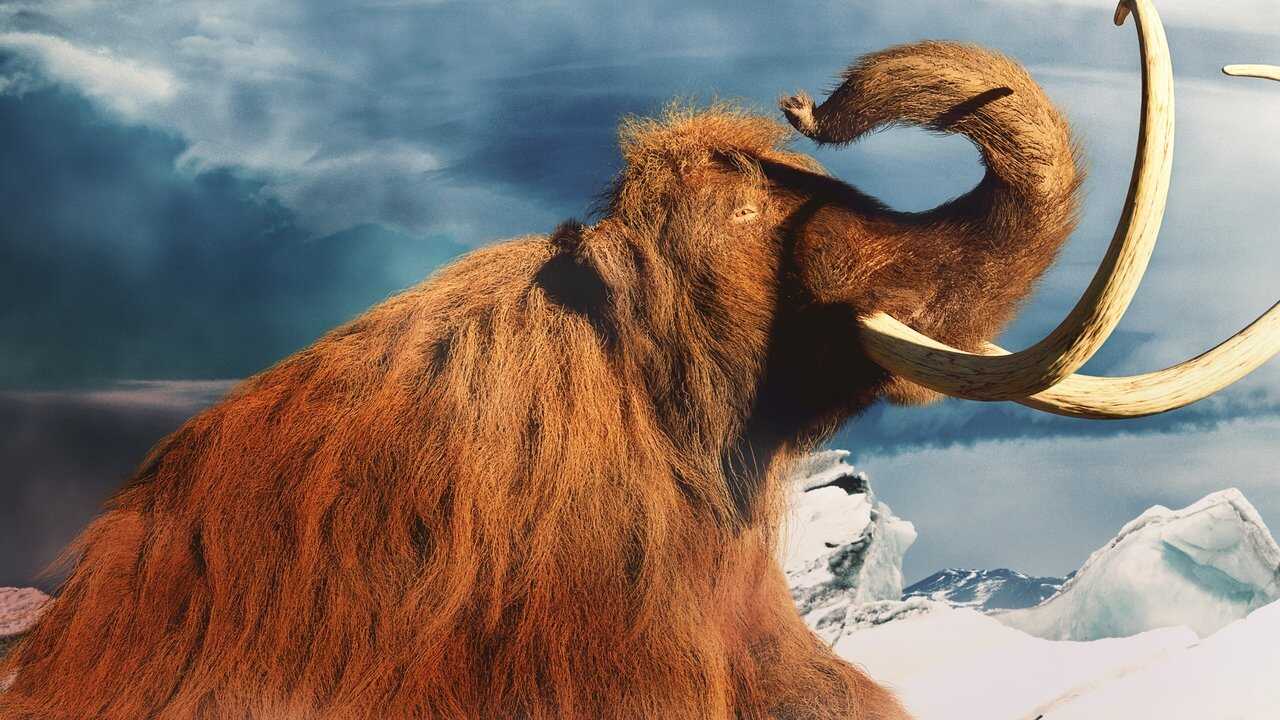 Mammoth Unearthed 0