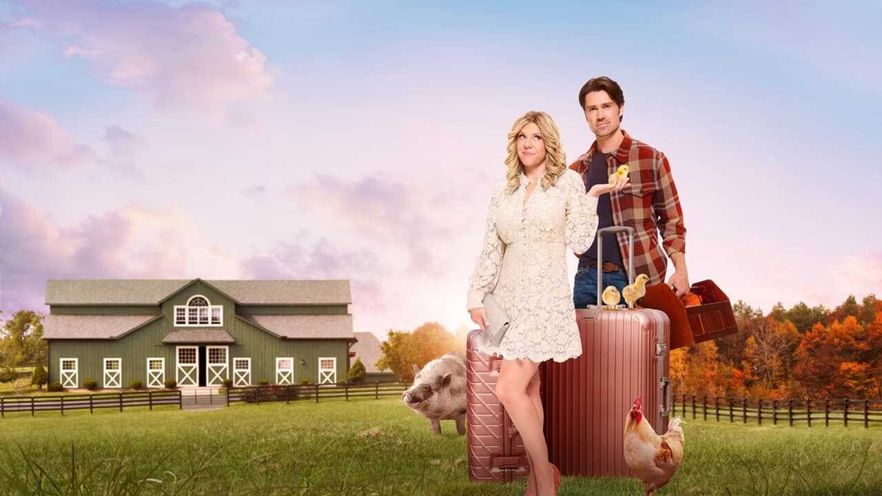 The Heiress and the Handyman 0