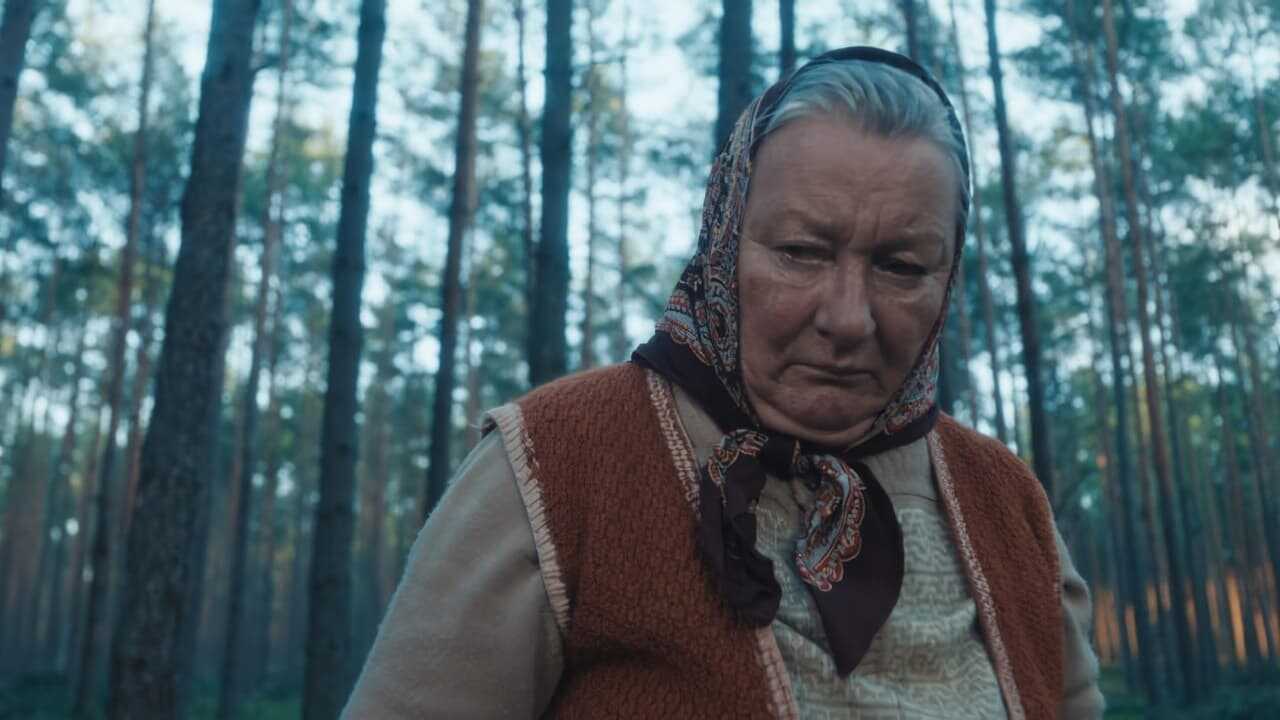 Grzyby (2024) 0