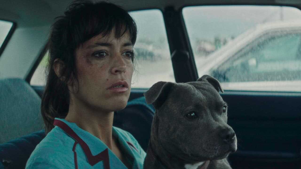 Vincent Must Die (2023) 0