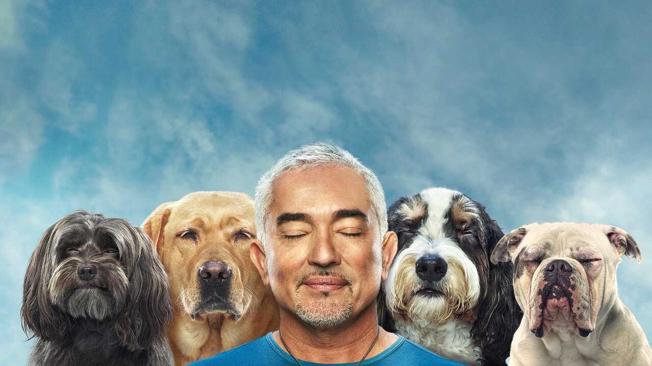 EN - Cesar Millan: Better Human, Better Dog (2021) 4