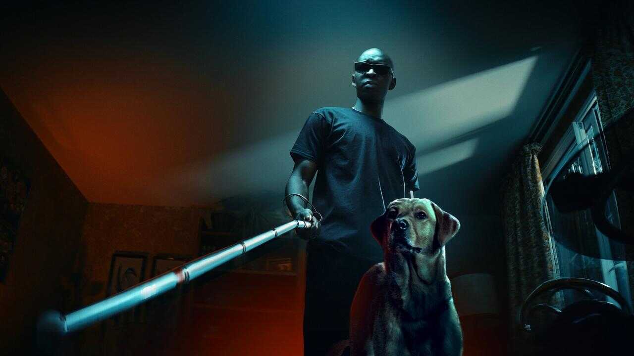 Le Roi des Ombres 0