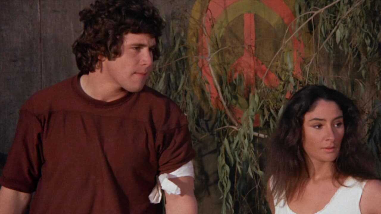The Peace Killers (1971) 0