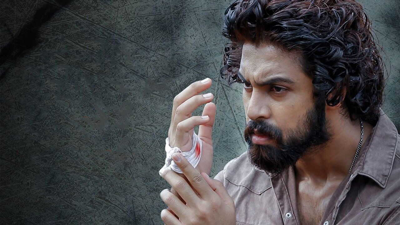 కిన్నెర‌సాని 0