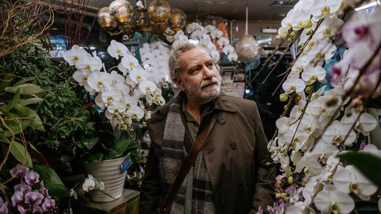 Touch (2024) 0