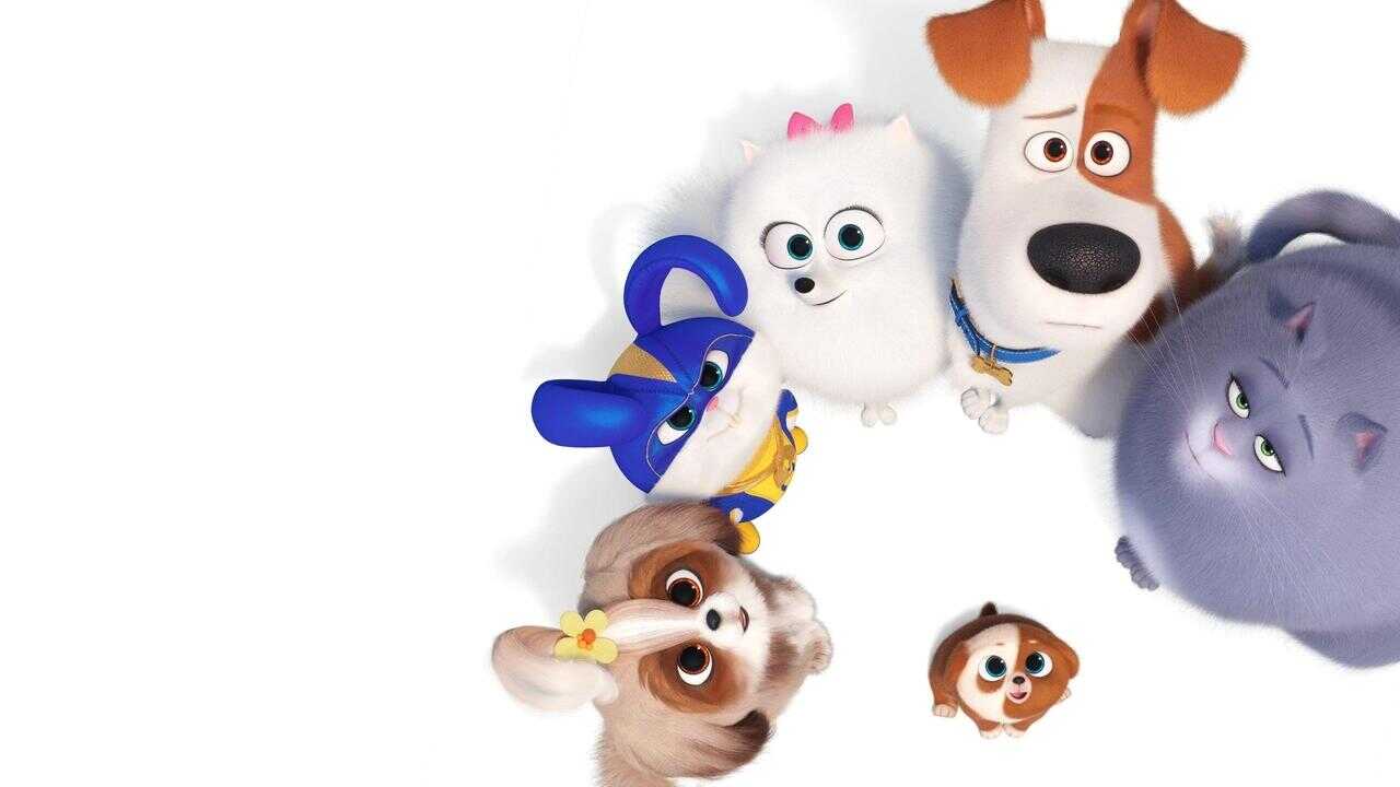 The Secret Life of Pets 2 0