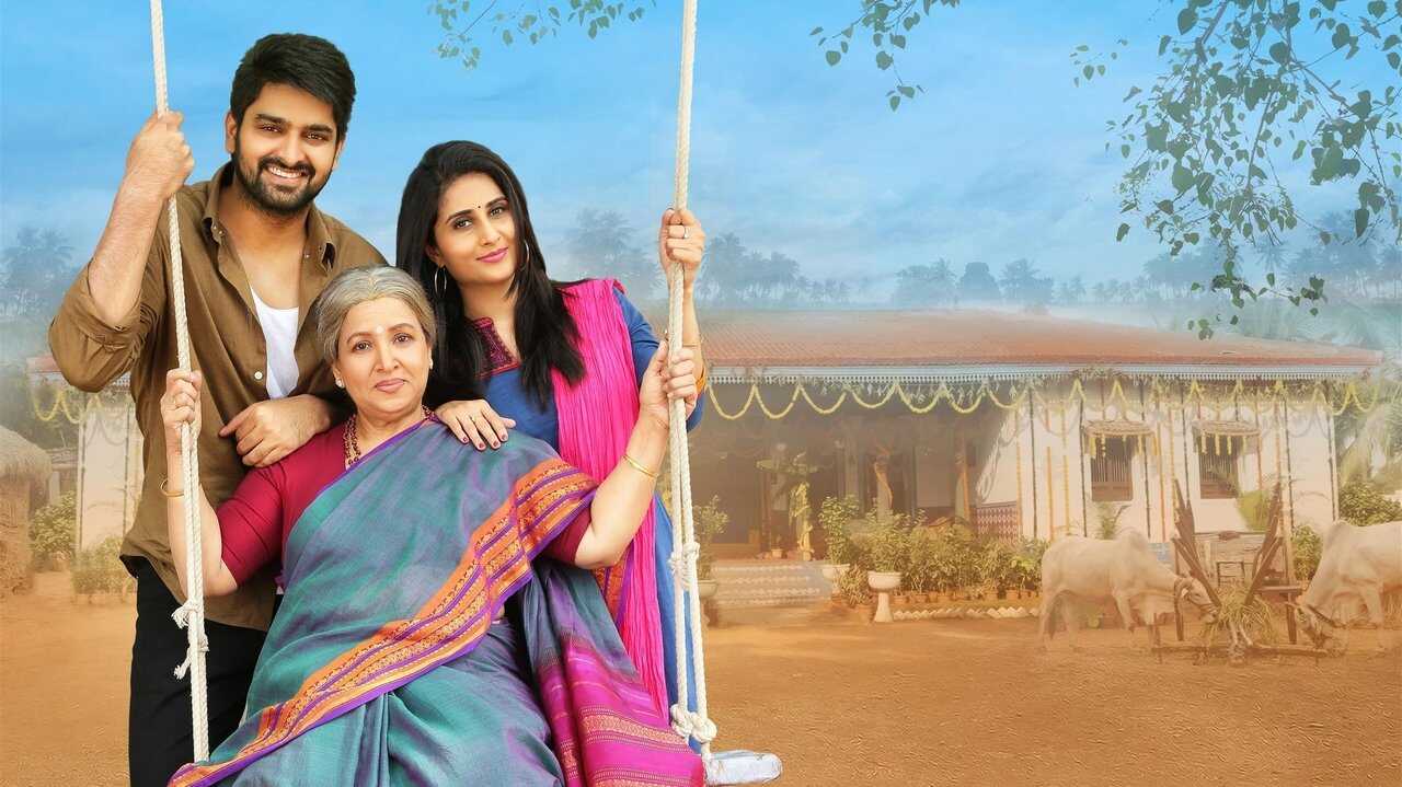 అమ్మమ్మగారిల్లు 0