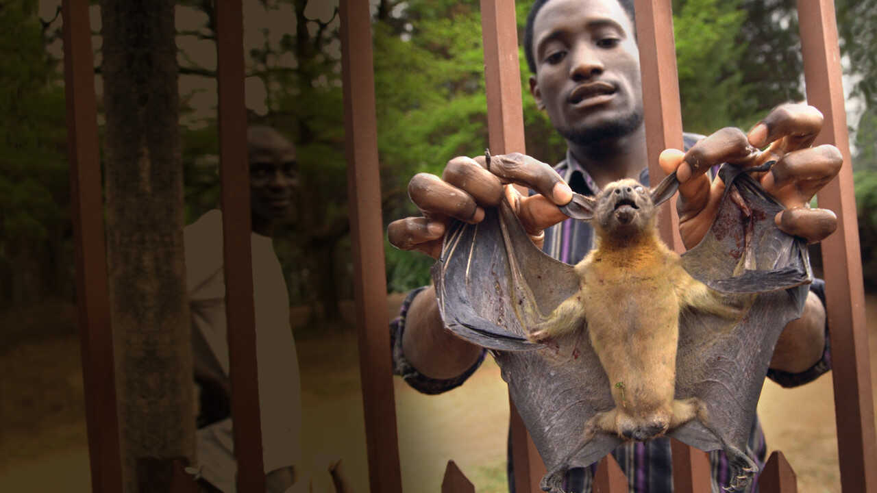 EN - Photo Ark (2017) 4