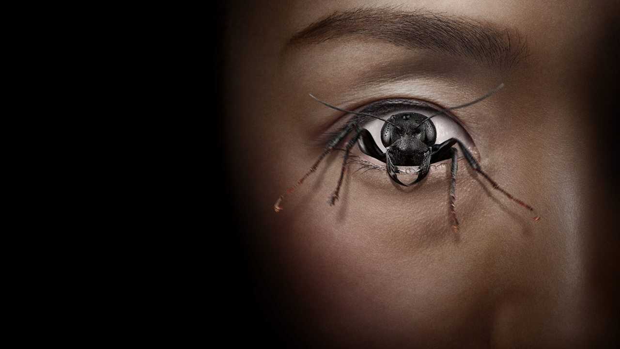 Natręt (2025) 0