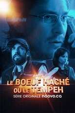 QFR - Le boeuf haché ou le tempeh 4
