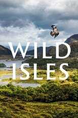 AR - Wild Isles (2023) 5