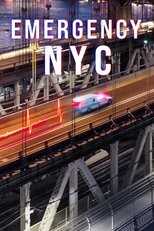 DE - Emergency: NYC (2023) 4