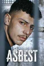 DE - Asbest (2023) 4
