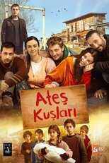 IR - Ates Kusları پرندگان آتش 5