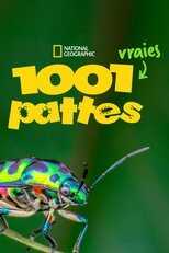 FR - 1001 vraies pattes 4