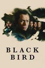 EX - Black Bird 4