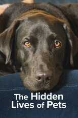 AR - The Secret Life of Our Pets (2022) 4