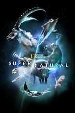 DE - Super/Natural 4