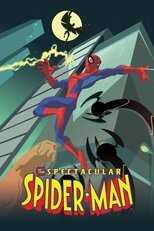 DE - The Spectacular Spider-Man (2008) 5