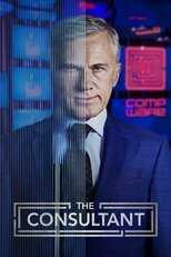 NL - THE CONSULANT 5