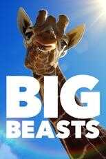 NL - BIG BEAST 4