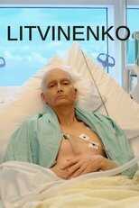 EN - Litvinenko (2022) 5
