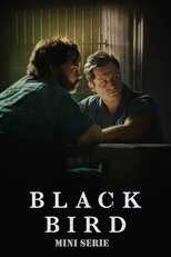 NL - BLACK BIRD (2022) 5