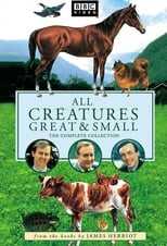 NL - ALL CREATURES GREAT AND SMALL 4