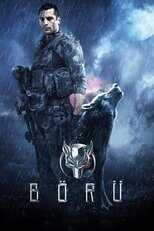 FR - Boru 4