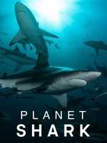 EN - Planet Shark (2022) 5