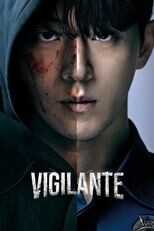 [SE] Vigilante 5