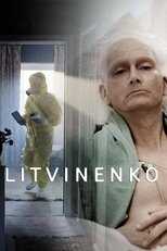 [SE] Litvinenko 5