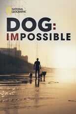 NL - DOG IMPOSSIBLE 4