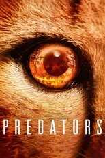 [SE] Predators 4