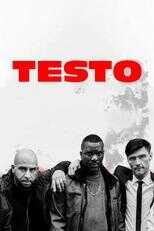 DE - Testo (2024) 4