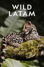 AR - Wild Latam (2020) 4