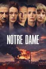 NF - Notre-Dame 5