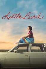 AR - Little Bird (2023) 4