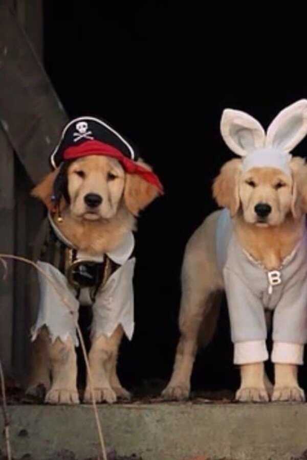 Spooky Buddies (2011) 0
