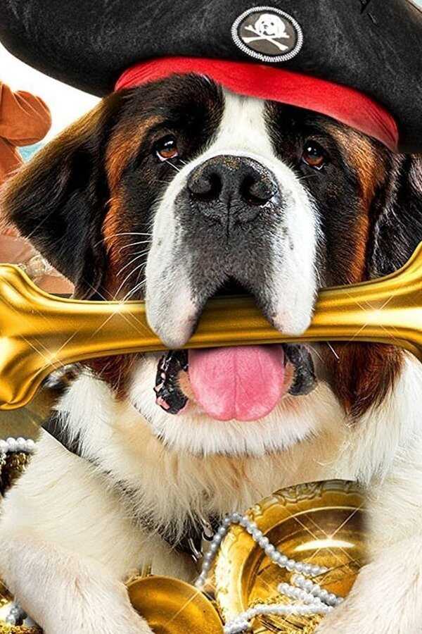 Beethoven und der Piratenschatz (2014) 0