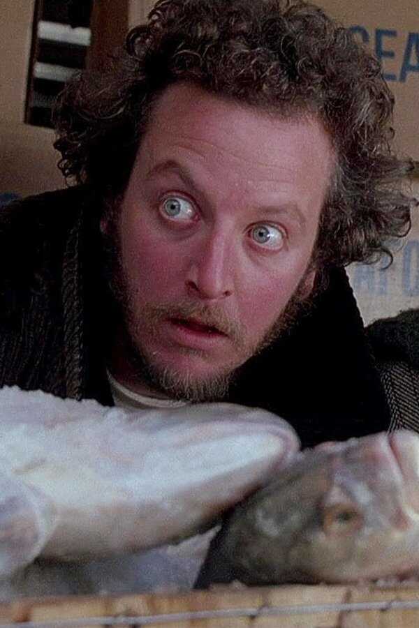 Home Alone 2: Lost in New York (1992) 0