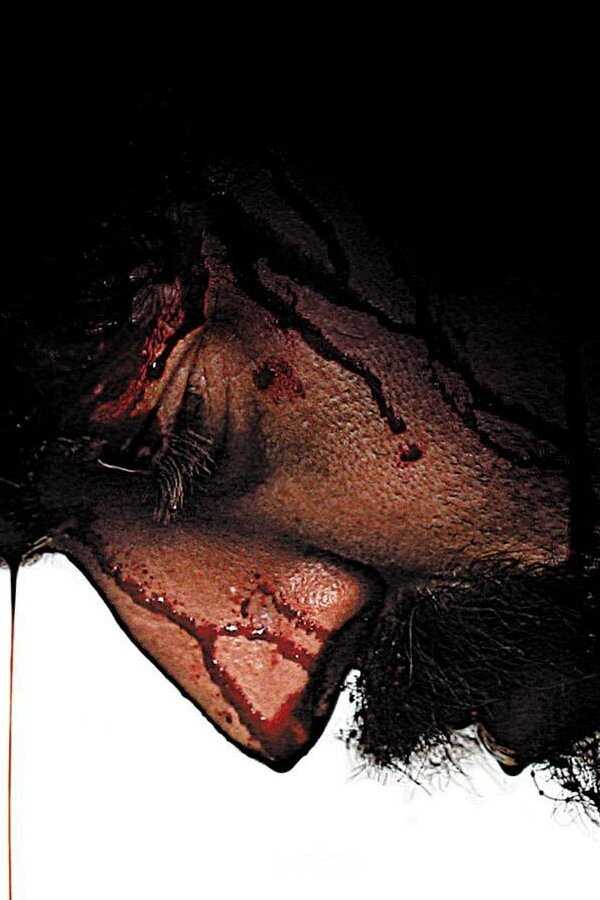 Mesrine: Public Enemy #1 (2008) 0